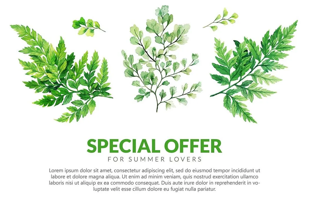 Cành Lá Xanh Minh Họa EPS - Thiết Kế Mùa Hè & Thiên Nhiên