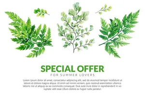 Cành Lá Xanh Minh Họa EPS - Thiết Kế Mùa Hè & Thiên Nhiên