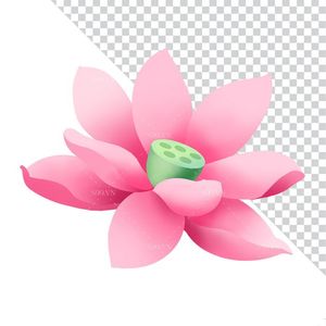 Hình ảnh bông hoa sen màu hồng file PNG mẫu CR1658