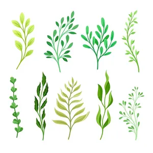 Cành Lá Xanh Tươi – Bộ Sưu Tập Vector Minh Họa Đa Dạng