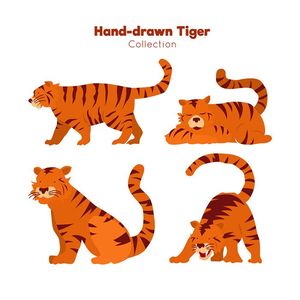 Hình minh họa chú hổ file vector mẫu CR1452