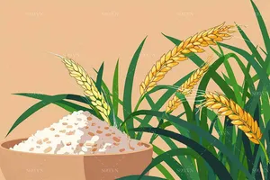 Background quảng cáo lúa gạo file JPG mẫu KS915