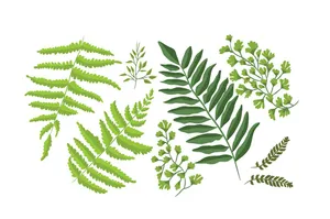 Cành Lá Xanh Tươi Minh Họa Vector EPS - Thiết Kế Thiên Nhiên Tối Giản