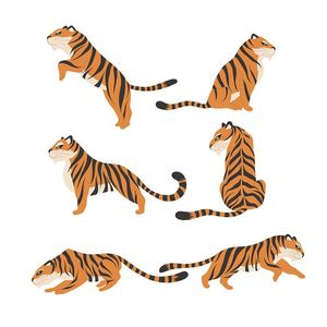 Bộ sưu tập hành động của chú hổ file vector mẫu CR1503