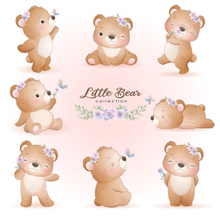 Bộ sưu tập hình ảnh chú gấu cute file vector mẫu CR94