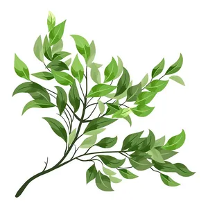 Cành Lá Xanh Tươi - Hình Minh Họa Vector EPS Đa Dụng cho Thiết Kế