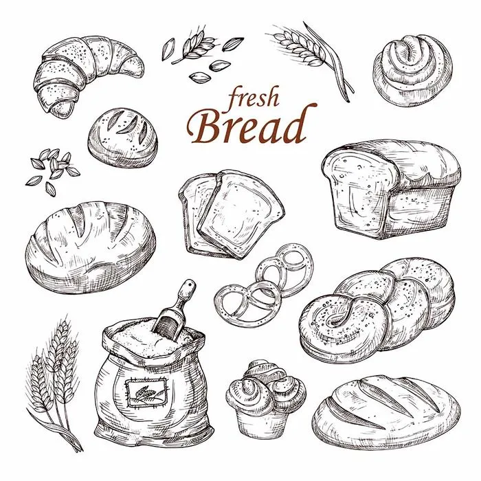Bộ Sưu Tập Bánh Mì Vẽ Tay - Minh Họa Vector EPS