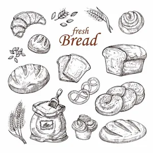 Bộ Sưu Tập Bánh Mì Vẽ Tay - Minh Họa Vector EPS