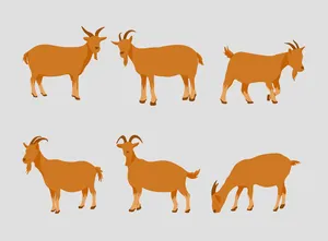 Hình ảnh minh họa chú dê màu nâu file vector mẫu KS564