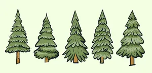 Hình ảnh cây thông file vector mẫu KS729
