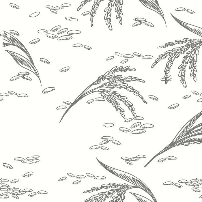 Hình ảnh bông lúa file vector mẫu KS882