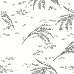 Hình ảnh bông lúa file vector mẫu KS882