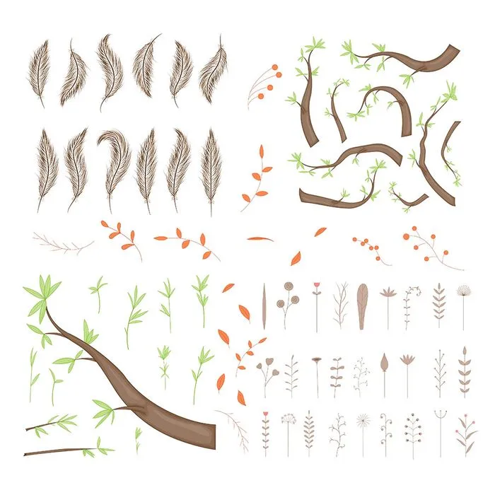 Cành Lá, Lông Vũ & Hoa Khô Bộ Minh Họa EPS Vector Đa Năng