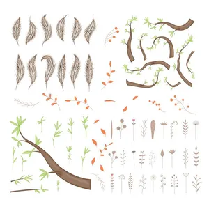 Cành Lá, Lông Vũ & Hoa Khô Bộ Minh Họa EPS Vector Đa Năng