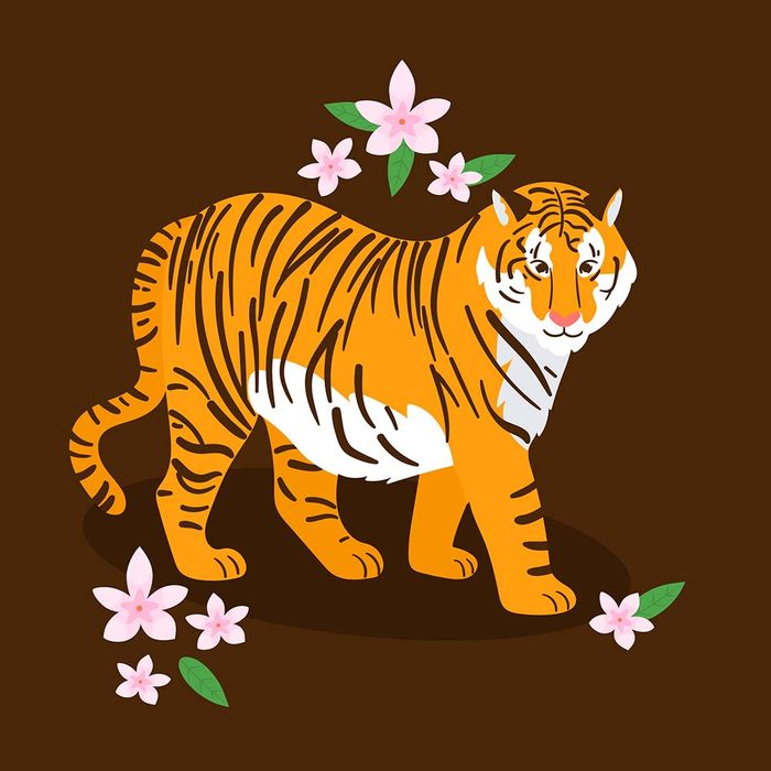 Hình ảnh chú hổ vằn file vector mẫu CR1472