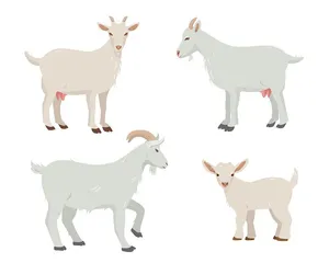 Hình ảnh chú dê file vector mẫu KS511
