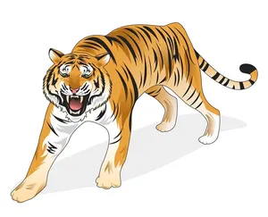 Hình ảnh chú hổ hung dữ flie vector mẫu KS106