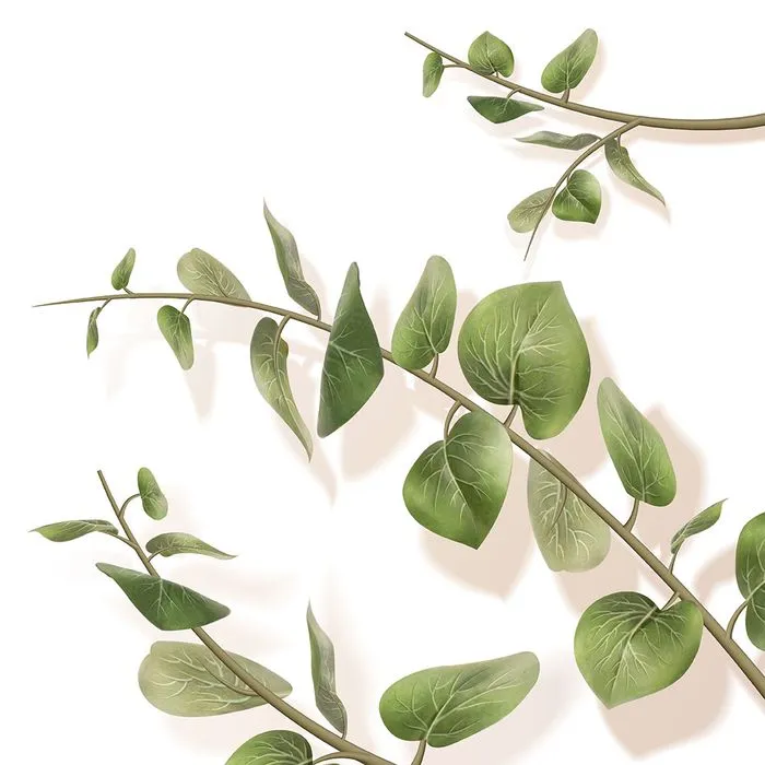 Cành Lá Xanh Tươi - Hình Minh Họa Vector EPS Đa Dụng Cho Thiết Kế