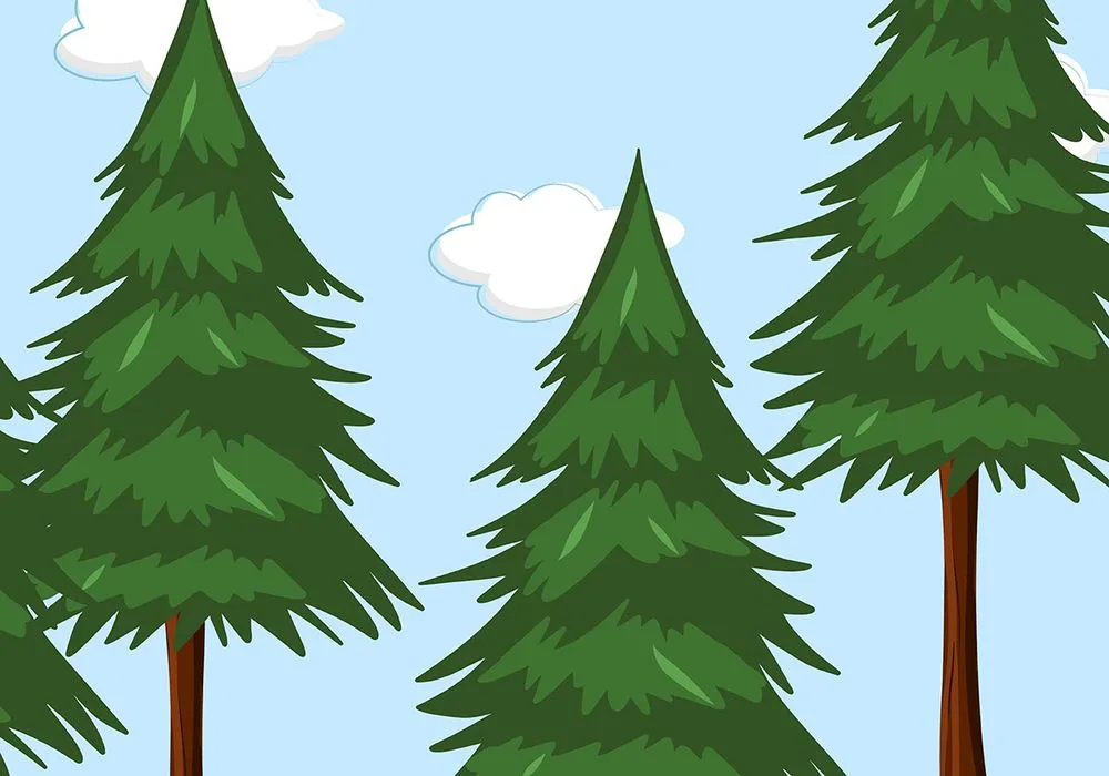Hình ảnh cây thông file vector mẫu KS728