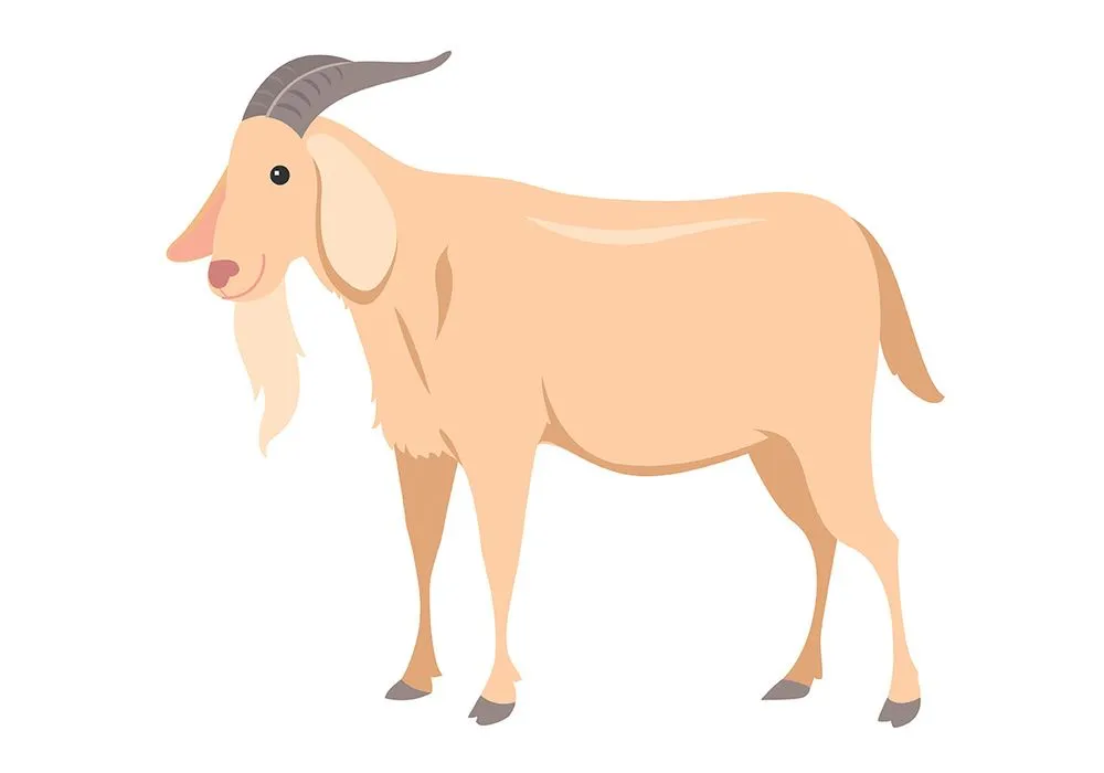 Hình ảnh chú dê file vector mẫu KS531