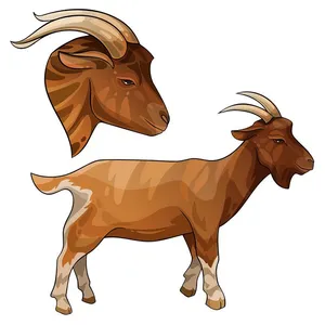 Hình ảnh chú dê file vector mẫu KS520
