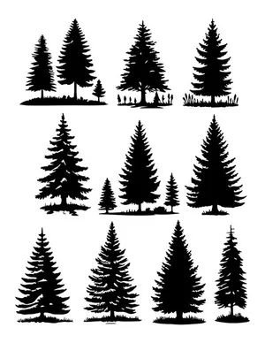 Hình ảnh cây thông file vector mẫu KS742