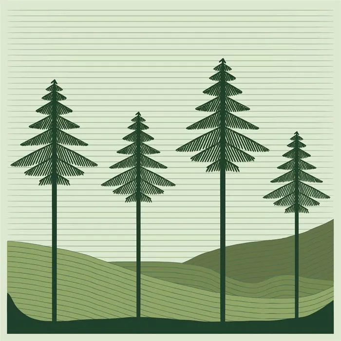 Hình ảnh cây thông file vector mẫu KS724