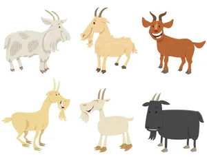 Hình ảnh những chú dê file vector mẫu KS532