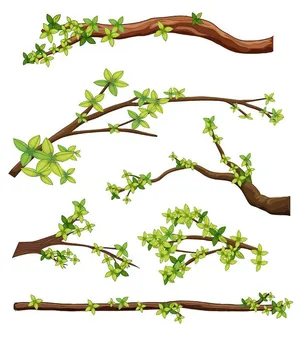 Cành Lá Xanh Tươi - Bộ Minh Họa Vector EPS Đa Dạng Cho Thiết Kế