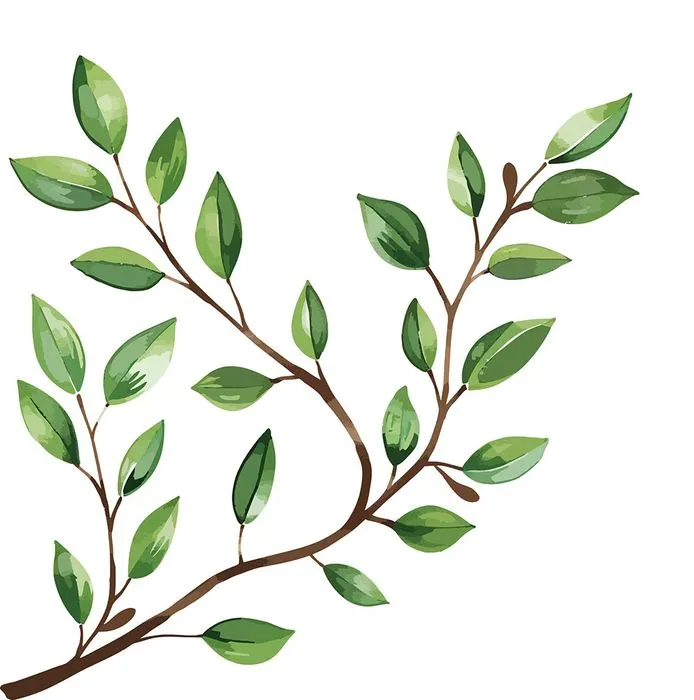 Cành Lá Xanh Tươi - Minh Họa Vector Cao Cấp (EPS)