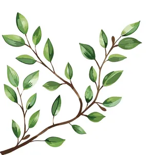 Cành Lá Xanh Tươi - Minh Họa Vector Cao Cấp (EPS)