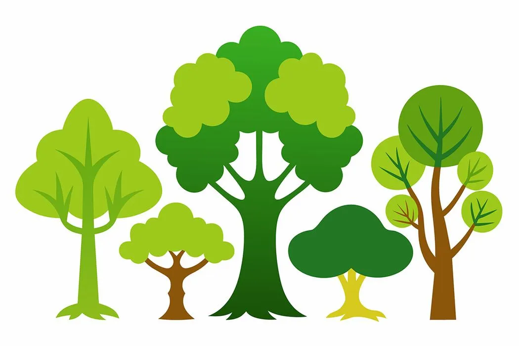Bộ sưu tập cây xanh file vector mẫu KK70