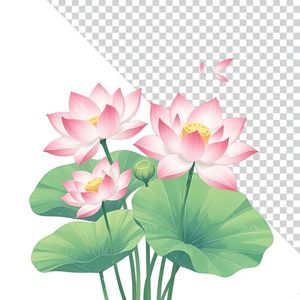 Hình ảnh hoa sen cùng lá sen file PNG mẫu CR1663