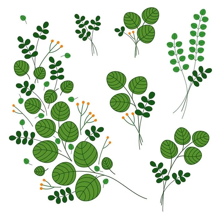 Cành Lá Xanh Tươi - Hình Minh Họa Vector EPS Đa Dạng