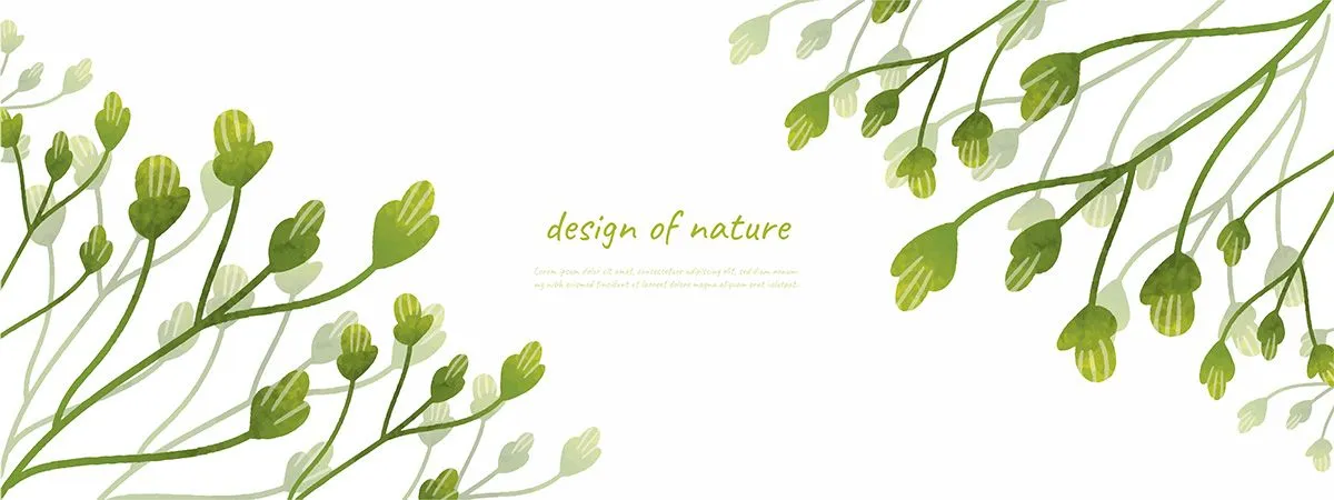 Hình Minh Họa Cành Lá Xanh Tươi Dạng Vector Thiết Kế Tối Giản