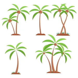 Hình ảnh cây dừa file vector mẫu KS657