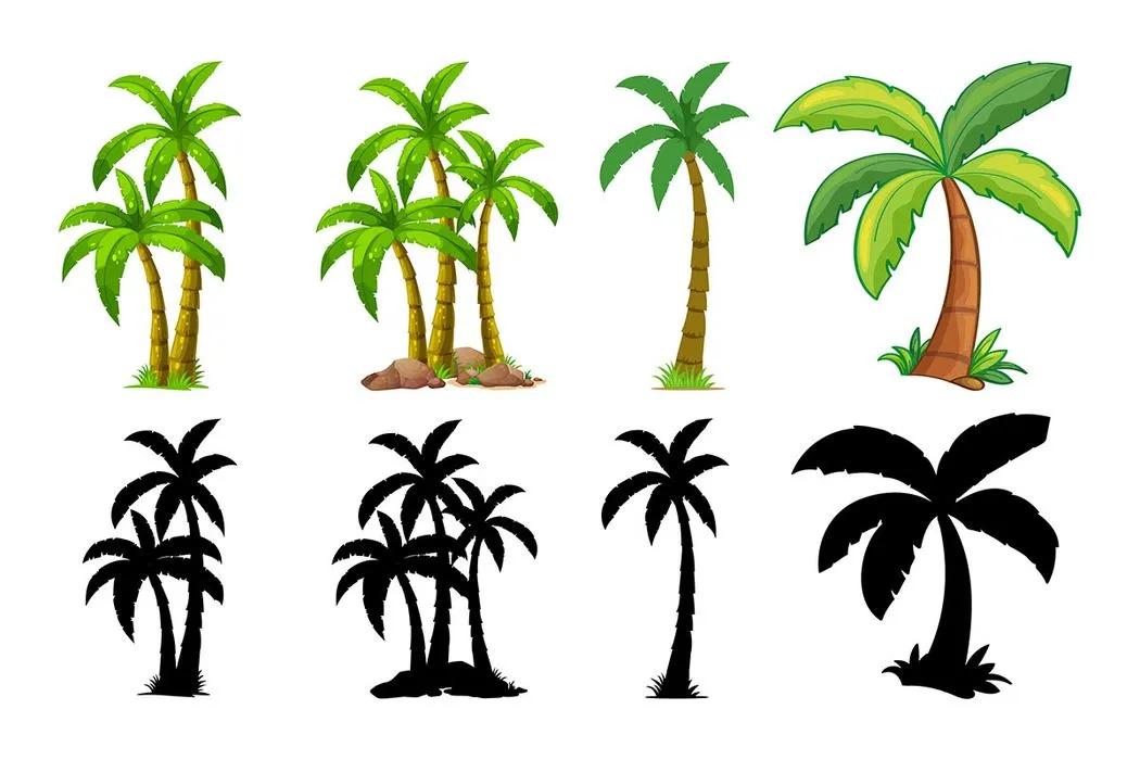 Hình ảnh cây dừa file vector mẫu KS660