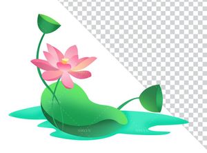 Hình ảnh hoa sen cùng lá sen file PNG mẫu CR1666