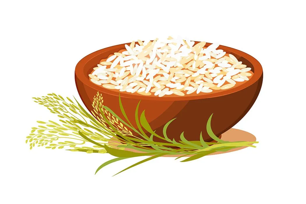 Hình ảnh bát gạo file vector mẫu KS863