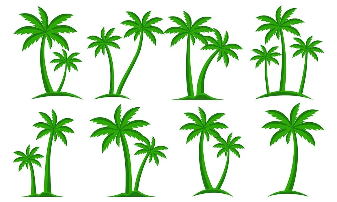Hình ảnh cây dừa file vector mẫu KS640