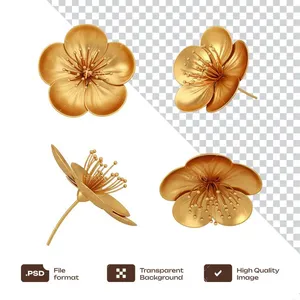 Hoa Mai Vàng Tết Minh Họa PNG - Thiết Kế Đồ Họa Cao Cấp