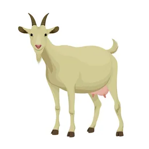 Hình ảnh minh họa chú dê file vector mẫu KS566