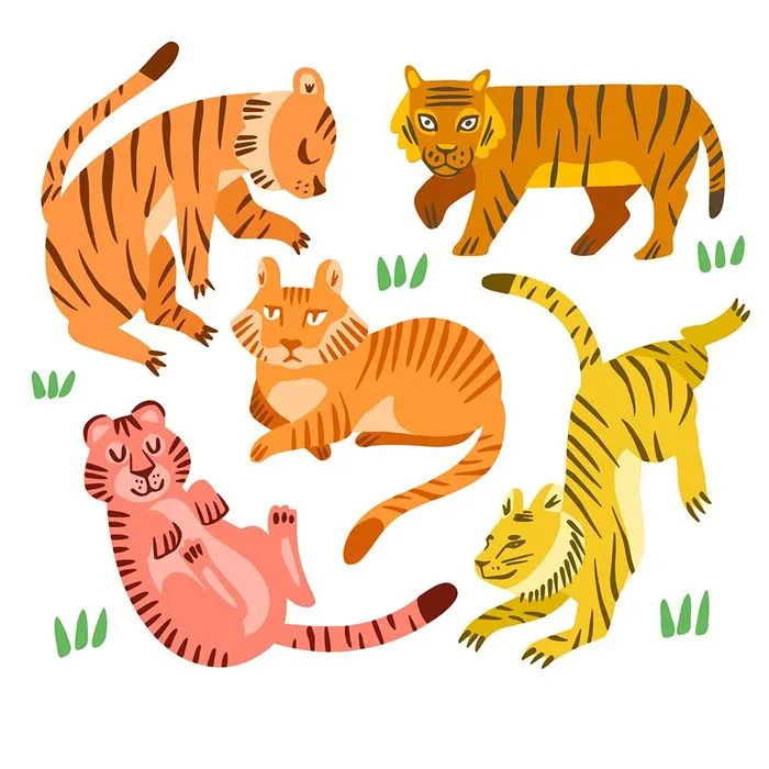 Hình ảnh chú hổ flie vector mẫu KS96
