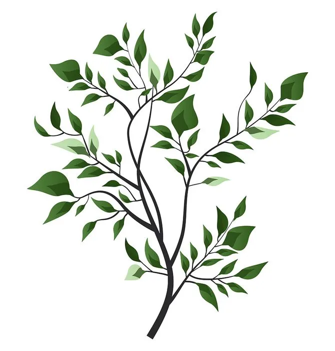 Cành Lá Xanh Tươi Minh Họa Vector EPS - Trang Trí Tự Nhiên