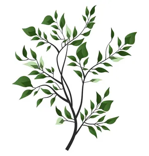 Cành Lá Xanh Tươi Minh Họa Vector EPS - Trang Trí Tự Nhiên