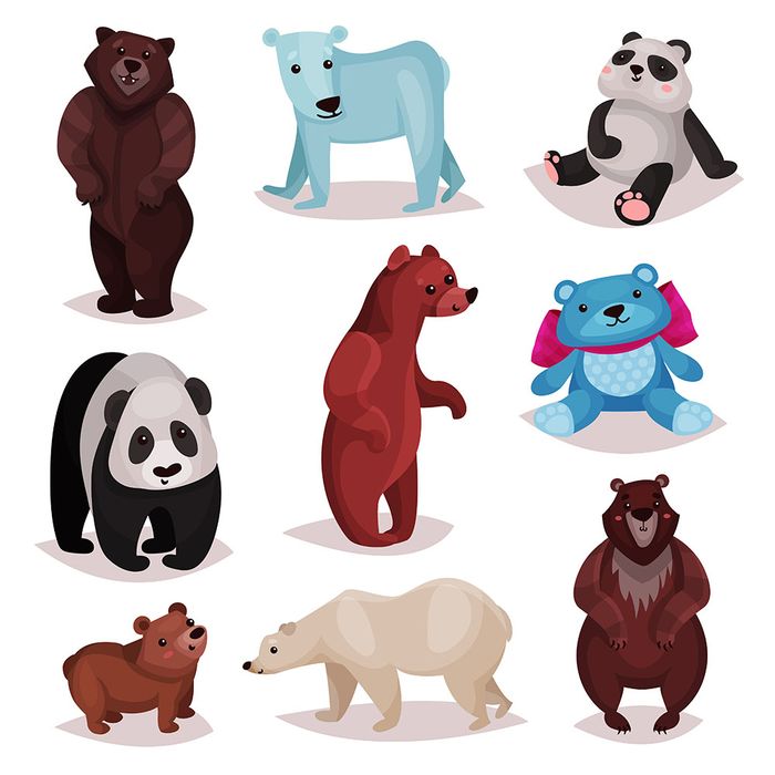 Hình ảnh chú gấu màu nâu file vector mẫu CR108