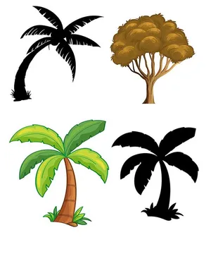 Hình ảnh cây dừa file vector mẫu KS664