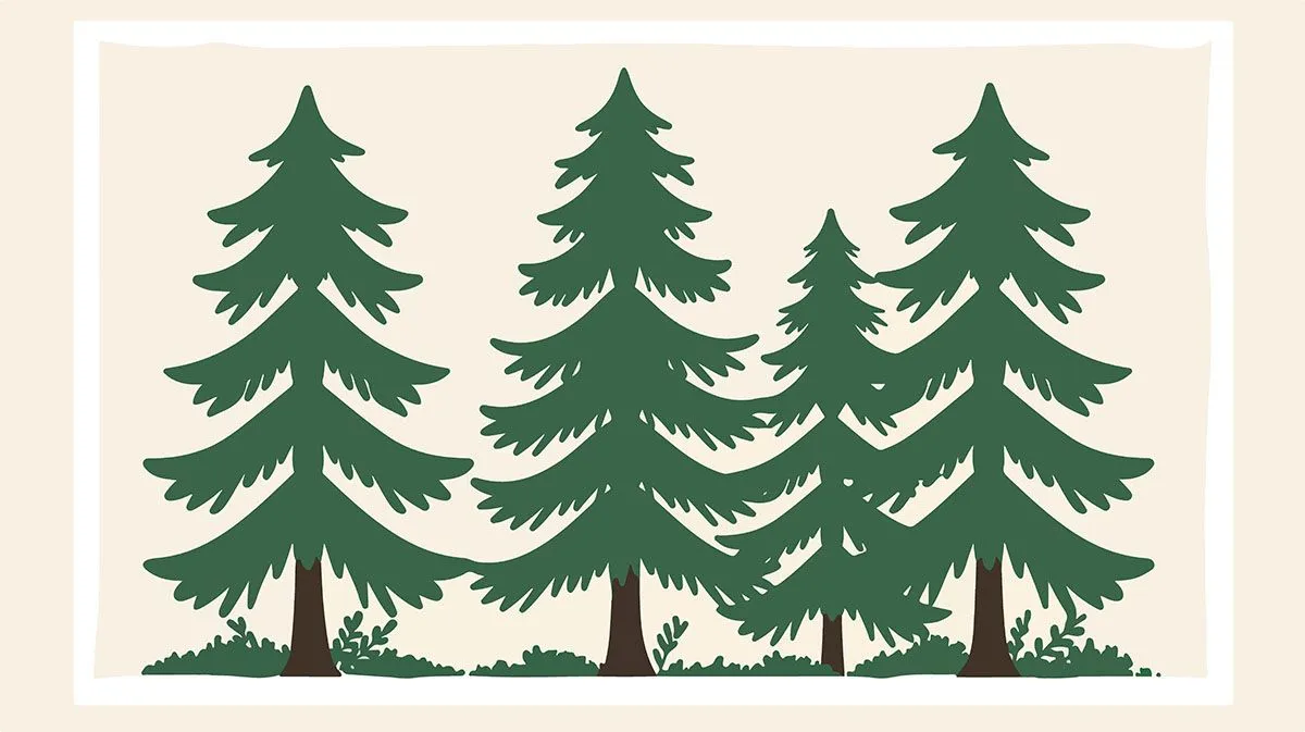 Hình ảnh cây thông file vector mẫu KS753