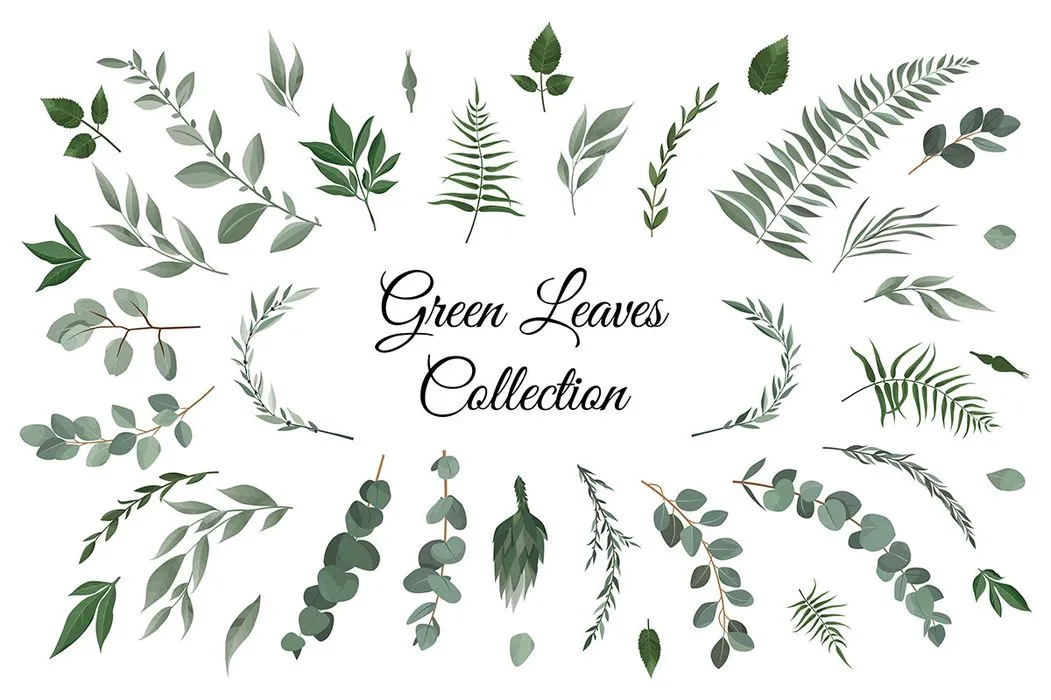 Cành Lá Xanh Tươi - Bộ Sưu Tập Hình Minh Họa Vector EPS Đa Dạng