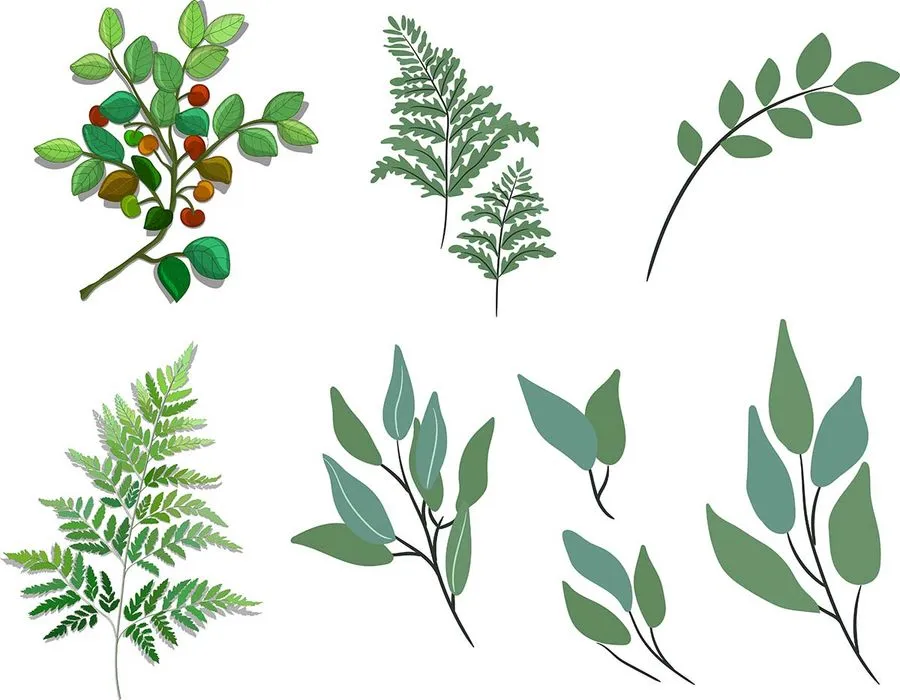 Cành Lá Xanh Tươi - Bộ Sưu Tập Vector Minh Họa Thực Vật